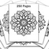 Discover 250 Mandala Coloring Pages for a Calming Experience